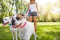 Simply put, theyre humans best friend. a young woman with her two dogs at the park. Royalty Free Stock Photo