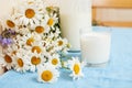 Simply stylish wooden kitchen with bottle of milk and glass on table, summer flowers camomile, healthy foog moring Royalty Free Stock Photo