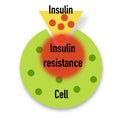 Insulin and insulin resistance, educational sheet Royalty Free Stock Photo
