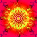 CELTIC IN RED MANDALA, CENTRAL IMAGE IN YELLOW AND LIGHT GREEN