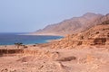 Sinai coast. Red Sea. Royalty Free Stock Photo