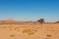 Sinai desert landscape Royalty Free Stock Photo