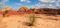 Sinai desert landscape Royalty Free Stock Photo