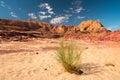 Sinai desert landscape Royalty Free Stock Photo