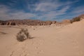 Sinai desert with sand and sun under blue sky in december Royalty Free Stock Photo