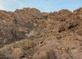 A trip to Sinai nature Royalty Free Stock Photo
