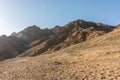 A trip to sinai desert Royalty Free Stock Photo