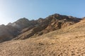 A trip to sinai desert Royalty Free Stock Photo