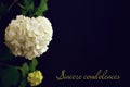 Sincere condolences text written on condolence card Royalty Free Stock Photo