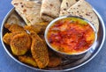 Indian vegan meal - roti curry and dry vegetables Royalty Free Stock Photo