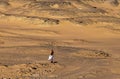 Sine person standing in desert