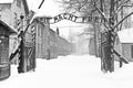 Sing Arbeit macht frei (Work liberates) in Auschwitz II Birkenau concentration camp