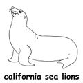 Kids line illustration coloring california sea lions. animal outline