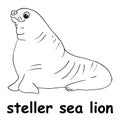 Kids line illustration coloring steller sea lion. animal outline