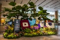 Singapore, April 18, 2017: Singapore Airport, Electronic Tree, Memory Photo / The Social Tree Planted in Changi Airport Terminal 1