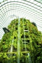Cloud Forest waterfall, Gardens by the Bay, Singapore