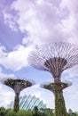 SINGAPORE - APRIL 14,2018 : Super Trees group at Gardens by the Bay, the best attractions in Singapore.