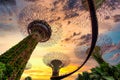 Singapore - APRIL 30, 2018: Supertree Grove on blue sky in the Garden by the Bay at sunset, Singapore