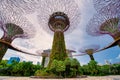 Singapore - APRIL 30, 2018: Supertree Grove on blue sky in the Garden by the Bay at sunset, Singapore