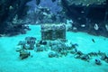 SINGAPORE - APRIL 13, 2016 : Treasure Chest at S.E.A Aquarium, Singapore. It is largest aquarium in Asia featuring 800 species of