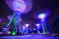 tourist visited light show of gardens by the bay at night, Singapore Royalty Free Stock Photo