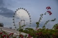 Singapore, Singapore 30 August 2022, The 165 meter high Ferris wheel \