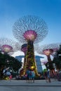 SINGAPORE - August 28, 2016: Supertrees at Gardens by the Bay.