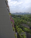 View of Sheares Ave from Dragonfly Bridge Royalty Free Stock Photo