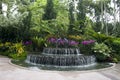 Singapore Botanic Gardens Royalty Free Stock Photo