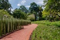The Singapore Botanic Gardens. Royalty Free Stock Photo