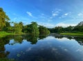 Morning walk at Eco-Lake at Singapore Botanic Gardens. Reflection seen on the lake. Royalty Free Stock Photo