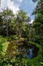 The Singapore Botanic Gardens. Royalty Free Stock Photo