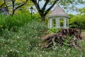 The Singapore Botanic Gardens. Royalty Free Stock Photo