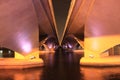 Singapore bridge croos to mariana bay in night time