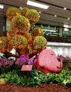 Singapore Changi Airport Indoor Floral display