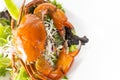 Singapore Chilli Mud Crab in dish Royalty Free Stock Photo