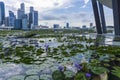 Singapore City during the day Royalty Free Stock Photo