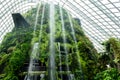 Cloud Forest Conservatory in Gardens by the Bay in Singapore with cool-moist green mountain, large indoor waterfall