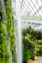 Singapore, 22/01/19. Cloud Forest Conservatory in Gardens by the Bay in Singapore with cool-moist green mountain, large indoor