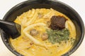 Singapore Curry Laksa Noodles Closeup