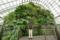 Cloud Forest dome environment at Gardens by the Bay a tropical forest fantastic the popular