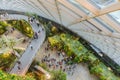 SINGAPORE - December 19, 2019: Top view of inside interior walkway bridge in the Cloud Forest Dome at Gardens by the Bay, Singapor