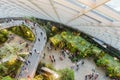 SINGAPORE - December 19, 2019: Top view of inside interor walkway bridge in the Cloud Forest Dome at Gardens by the Bay, Singapore