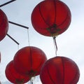 View of Chinese lantern