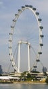 Singapore Flyer