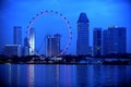 The Singapore Flyer