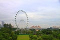 Singapore Flyer1 Royalty Free Stock Photo