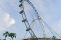 Singapore Flyer Ferris Wheel Stock Photo Stock Images Stock Pictures Royalty Free Stock Photo