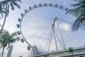 Singapore Flyer Ferris Wheel Stock Photo Stock Images Stock Pictures Royalty Free Stock Photo