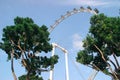 The Singapore flyer ferris wheel view Royalty Free Stock Photo